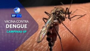Campinas inicia vacinação contra dengue